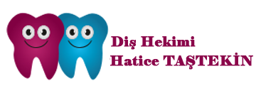 Diş Hekimi